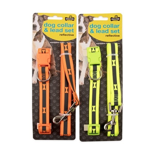 Dog Collar 30-50cm Lead 120cm Set Fluoro
